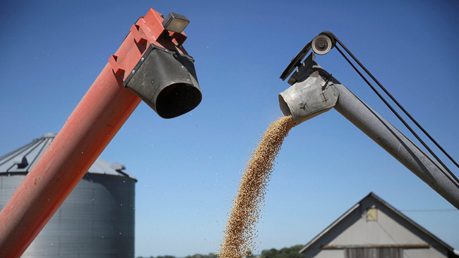 ¿Por qué China puede lidiar con la reducción de las compras de soja de EE. UU.?