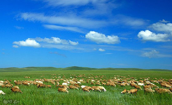Camino de enriquecimiento en la pradera de Mongolia Interior