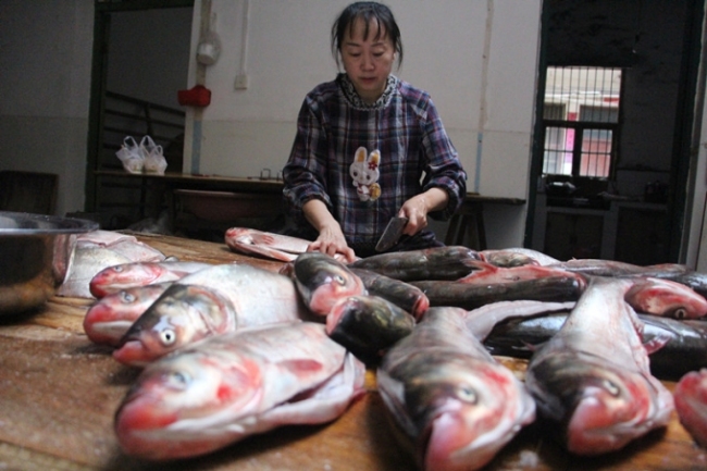 Tallarines de pescado de Yunmeng
