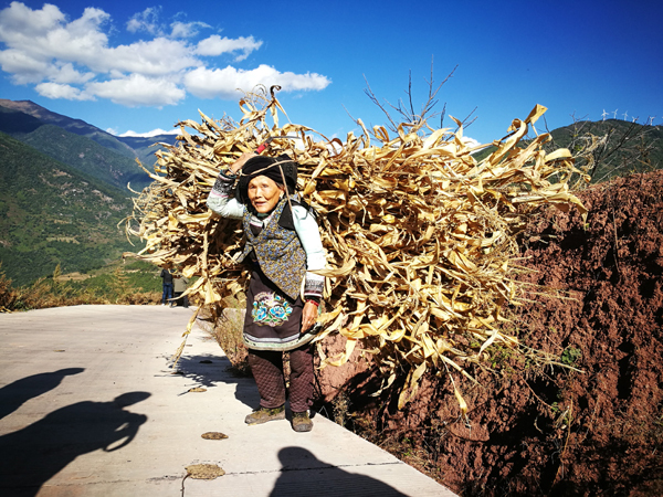 La femme travailleuse de l’ethnie Yi au village Taiyi(Photographe : Tai Linzhen)