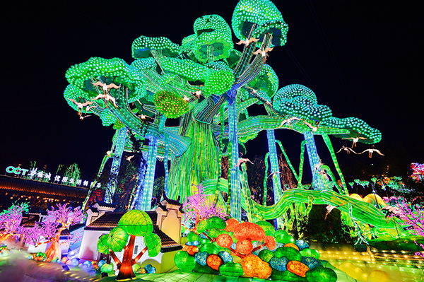  Un groupe de lanternes colorées durant la Fête (photographe : Liao Zhiquan)