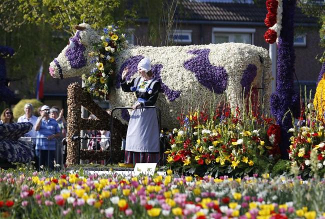 Parade annuelle des fleurs à Lisse, aux Pays-Bas, le 21 avril 2018. Vingt chars recouverts de fleurs ont parcouru un trajet de 42 kilomètres reliant Noordwijk à Haarlem au cours de l'événement, attirant plus d'un million de visiteurs néerlandais et étrangers. (Photo : Ye Pingfan)