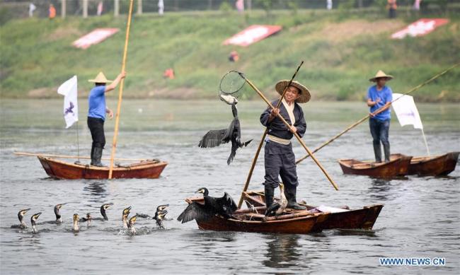  -- Des villageois pêchent à l'aide de cormorans sur la rivière Suihe, dans le district de Lingbi de la province chinoise de l'Anhui (est), le 29 avril 2018. (Photo : Zhang Duan)