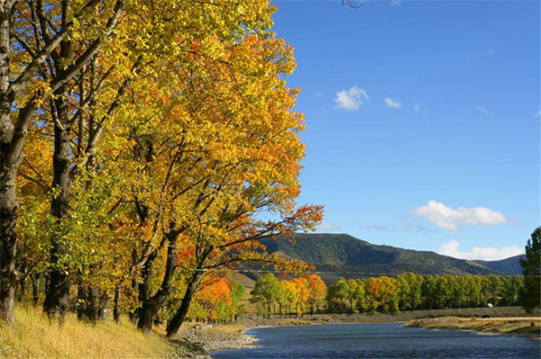 Le paysage d'automne du site de Xinduqiao (photo fournie par le département de communication du comité du parti Kangding)