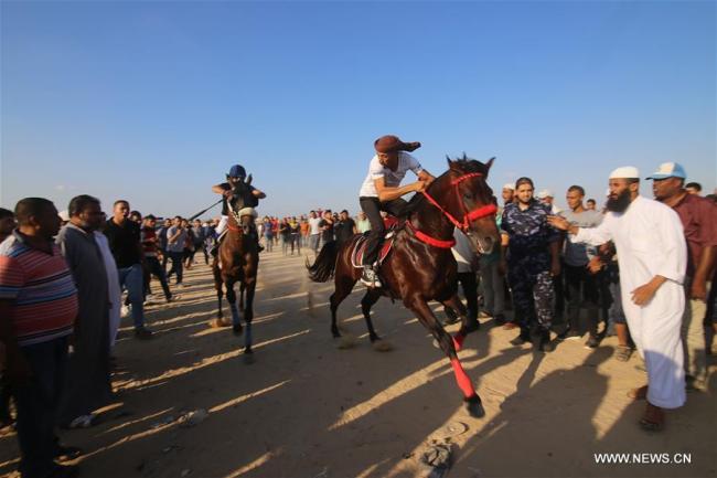  Des hommes palestiniens montent à cheval lors d'une course de chevaux locale dans la ville de Rafah, dans le sud de la bande de Gaza, le 9 septembre 2018. (Photo : Khaled Omar)