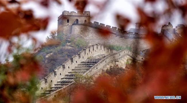 Photo prise le 10 octobre 2018 montrant la section de Badaling de la Grande Muraille dans l'arrondissement de Yanqing à Beijing, capitale de la Chine. (Xinhua/Li Xin)