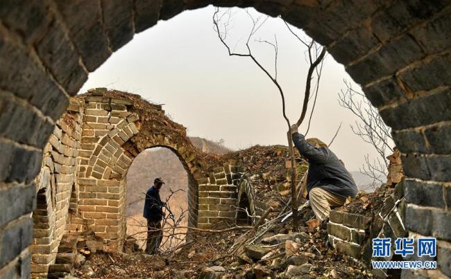Début des travaux de maintenance de la Grande Muraille dans le district de Yanqing