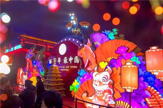 L’exposition des lanternes du nouvel an chinois dans la rue de Chinatown