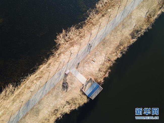 Beijing : le lac des canards sauvages de Yanqing rouvre ses portes au public