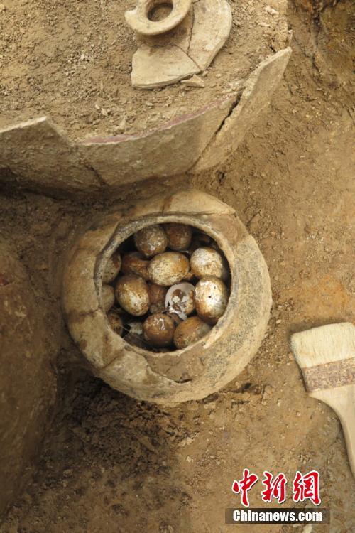 Découverte d’œufs vieux de 2500 ans