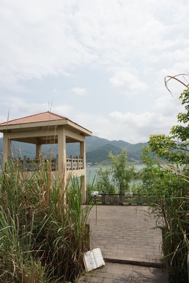 Kaizhou à Chongqing : créer un bon environnement pour protéger les oiseaux migrateurs