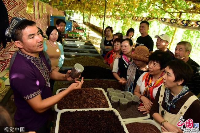 Xinjiang : la récolte des raisins attire de nombreux touristes
