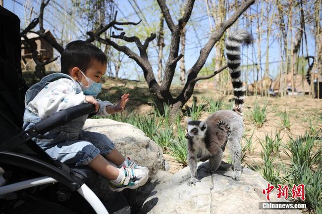 (Photos: Zhao Jun/Chinanews)