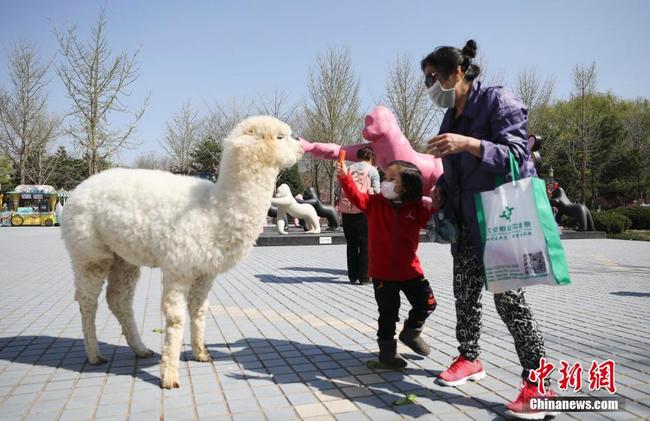 (Photos: Zhao Jun/Chinanews)