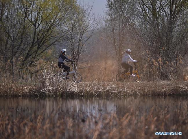 Paysage du lac des canards sauvages dans l'arrondissement de Yanqing à Beijing, capitale de la Chine, le 5 avril 2020. (Photo : Chen Zhonghao)