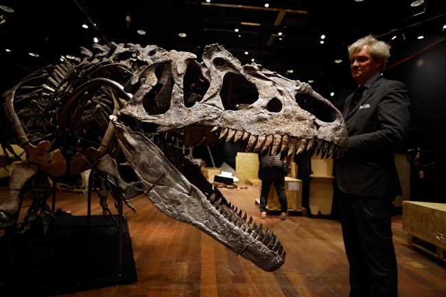 Un squelette d’allosaure mis en vente à Paris
