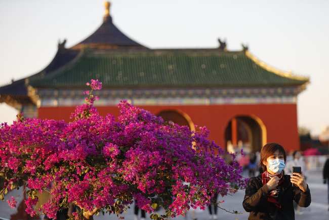 Les gens visitent le Temple du Ciel à Beijing