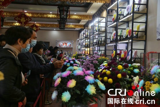 Les visiteurs admirent les chrysanthèmes (photo/Wan Qingli)