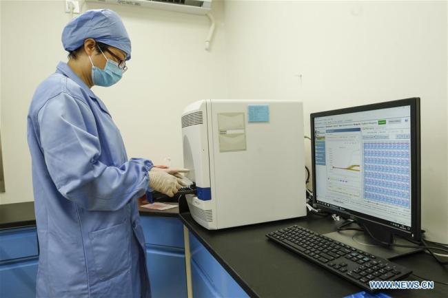 Μια νοσηλεύτρια εργάζεται στο εργαστήριο αλυσιδωτής αντίδρασης πολυμεράσης (PCR) στο Νοσοκομείο Πουρέν του Πεκίνου, πρωτεύουσα της Κίνας, στις 23 Ιουνίου 2020. Το εργαστήριο PCR τέθηκε σε χρήση στις 15 Ιουνίου για τη διεξαγωγή δοκιμών νουκλεϊκών οξέων για το COVID-19. (Xinhua / Zhang Yuwei) 