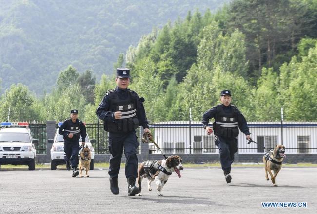 Ο σκύλος Χέι-Σα με τον εκπαιδευτή του Τζιανγκ Φενγκ, είναι μαζί με άλλα σκυλιά σε εκπαίδευση στο Μπαϊσάν, στην επαρχία Τζιλίν της βορειοανατολικής Κίνας, στις 22 Ιουνίου 2020. 