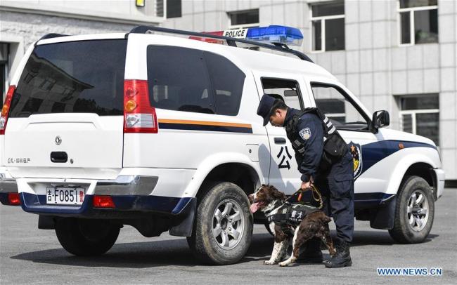 Ο σκύλος Χέι-Σα με τον εκπαιδευτή του Τζιανγκ Φενγκ προετοιμάζονται για μια προπόνηση που περιλαμβάνει την αναζήτηση ύποπτων αντικειμένων στο Μπαϊσάν, στην επαρχία Τζιλίν της βορειοανατολικής Κίνας, στις 22 Ιουνίου 2020. 