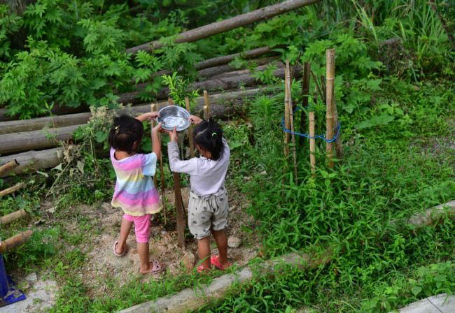 Δύο κορίτσια ποτίζουν ένα δενδρύλλιο στις 20 Ιουνίου.