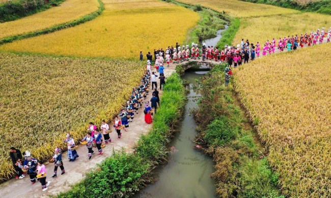 Η εναέρια φωτογραφία δείχνει τους αγρότες να πηγαίνουν για την συγκομιδή στο χωριό Ντανγκτζάο της κωμόπολης Πανσί στην πόλη Τονγκρέν, επαρχία Γκουϊτζόου της ΝΔ Κίνας, στις 20 Σεπτεμβρίου 2020. (Φωτογραφία από Wu Weidong / Xinhua)<br>