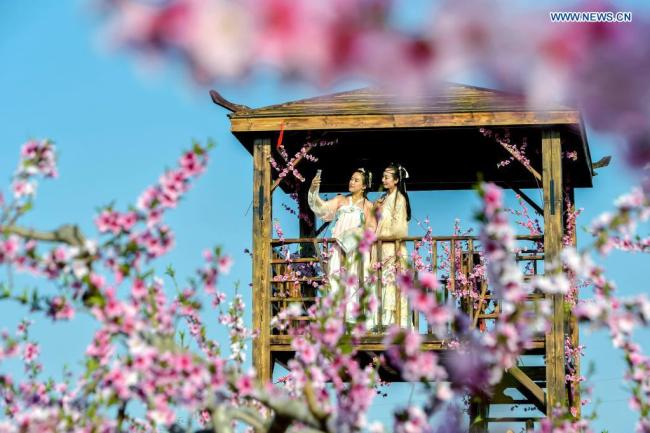 Τουρίστες απολαμβάνουν ανοιξιάτικα λουλούδια σε έναν κήπο με ροδακινιές στο δήμο Νανμπού της πόλης Χαντάν, στην επαρχία Χεμπέι της βόρειας Κίνας, στις 4 Απριλίου 2021. (Xinhua / Wang Xiao)
