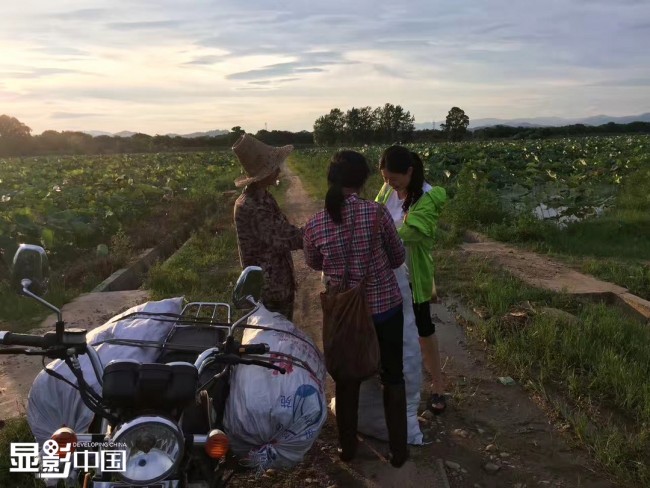 Η Ράο Τσουνχόνγκ (δεξιά) συνομιλεί με αγρότες που καλλιεργούν νούφαρα