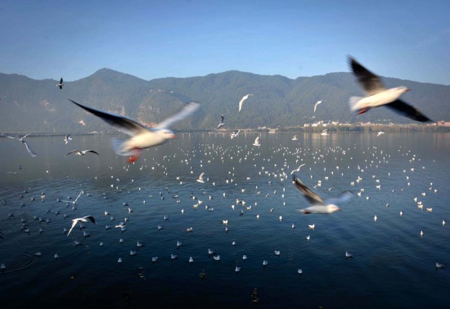 Il lago Dianchi del Kunming