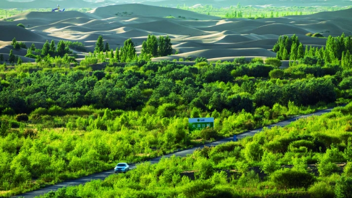 Florestamento em deserto abre porta para o enriquecimento no norte da China