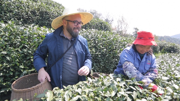 Saborear Hangzhou--A colheita do chá na aldeia de Longjing