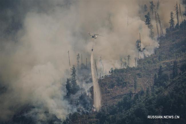 Армения направила спасателей для тушения лесного пожара в Грузии