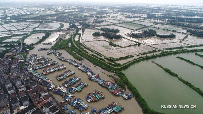 Провинция Гуандун прилагает все силы для защиты от тайфуна "Бебинка", отложено открытие рыболовного сезона