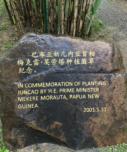 Китайское озеленение меняет жизнь людей в Папуа-Новой Гвинее