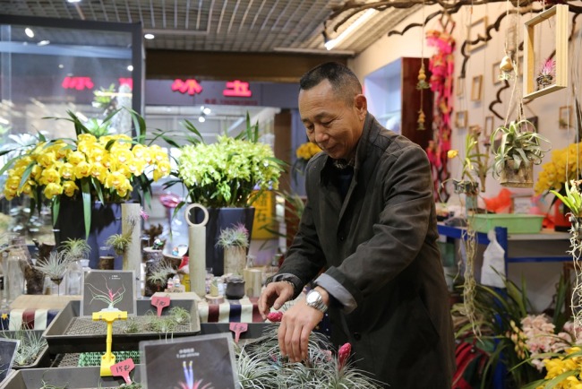 Доунань – за 30 лет мелкое село превратилось в крупнейший в Азии цветочный рынок
