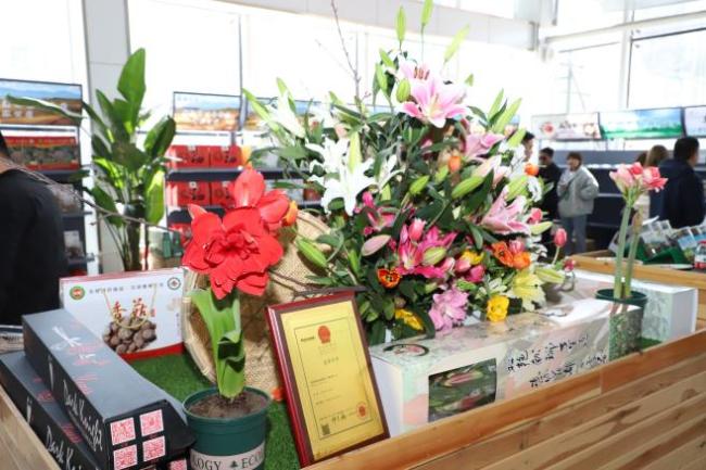 Объем производства луковиц лилии составляет 30% от общего объема производства в стране (Фото: Сун Цзюнь)