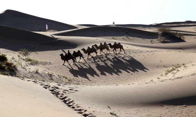 کھو بُوچی صحرا کی  بنجر صحرائی ٹیلوں سے دلکش نظاروں میں تبدیلی