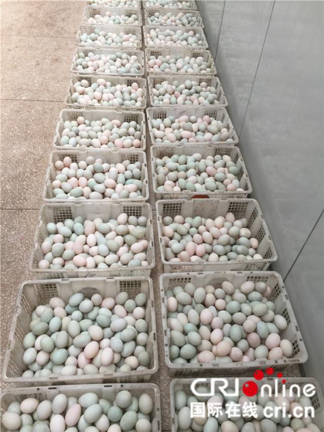  فینگ گانگ گاؤں کی دادی لیاوکی مشہور ڈش ، بطخ کے نمکین انڈے    