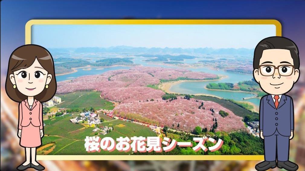 【わかった気になっチャイナ】中国で桜の花見シーズン！今年も全国で「花見経済」盛り上がる