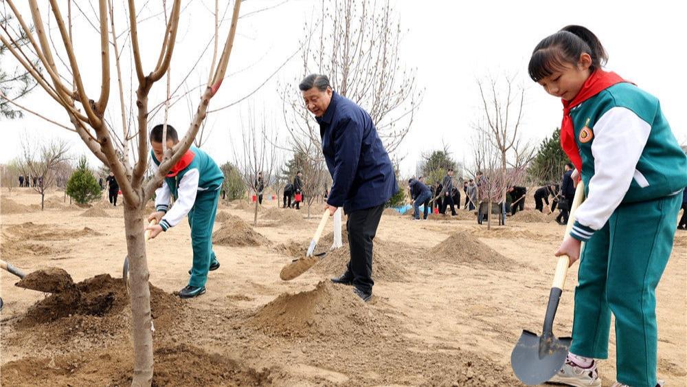 चीनका राष्ट्राध्यक्ष सी चिनफिङद्वारा पैचिङमा वृक्षारोपण