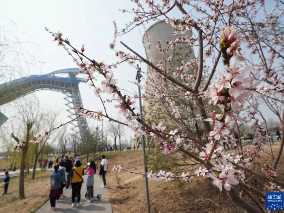 Suasana Musim Bunga Serata China