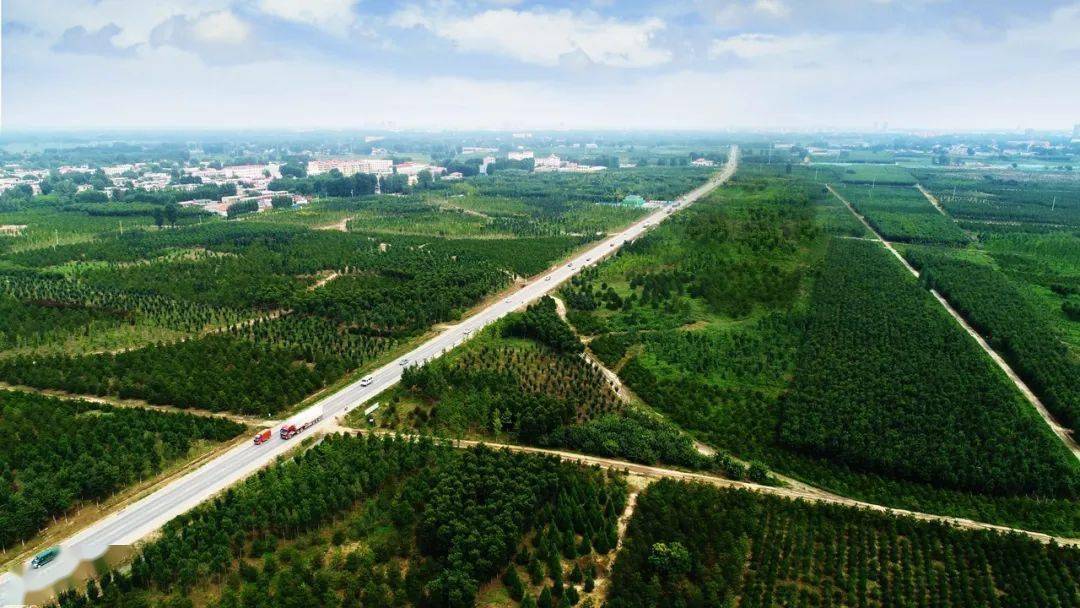 چین پیشگام حفظ جنگل‌ها در جهانا