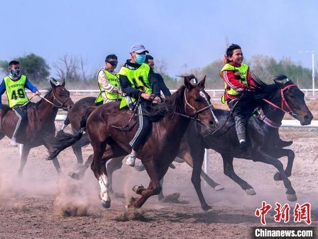 Acara Kuda Tarik Pelancong di Karamay
