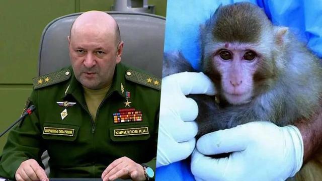 درخواست روسیه برای بررسی نقش آمریکا در شیوع «آبله میمون»