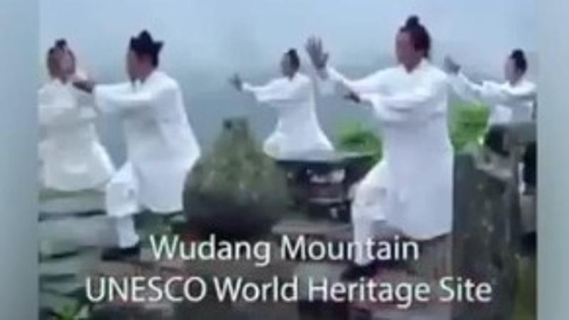 چینِ شگفت‌انگیز در 60 ثانیه؛ «هوبیِ» + ویدئوا