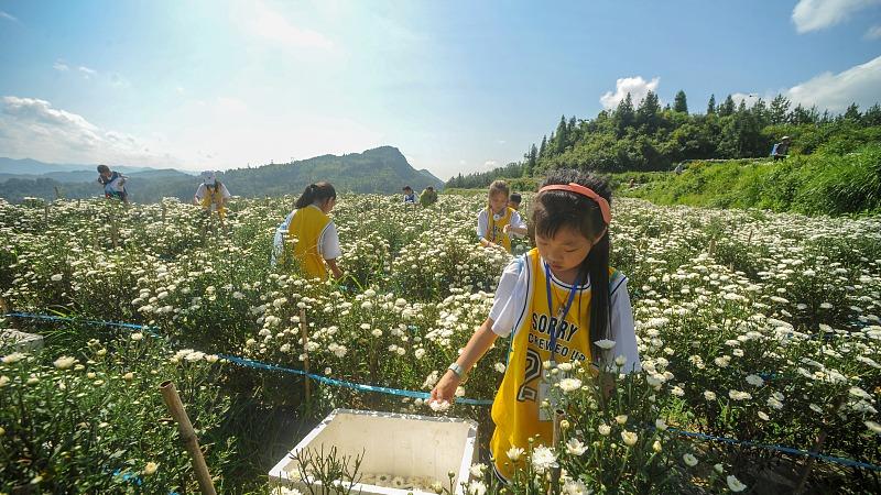 Chongqing : organisation d’un camp d'été dans un village de montagne
