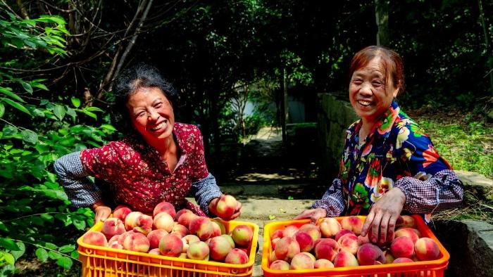 یاری شبکه لجستیکی قدرتمند چین به توسعه بازار محصولات کشاورزیا