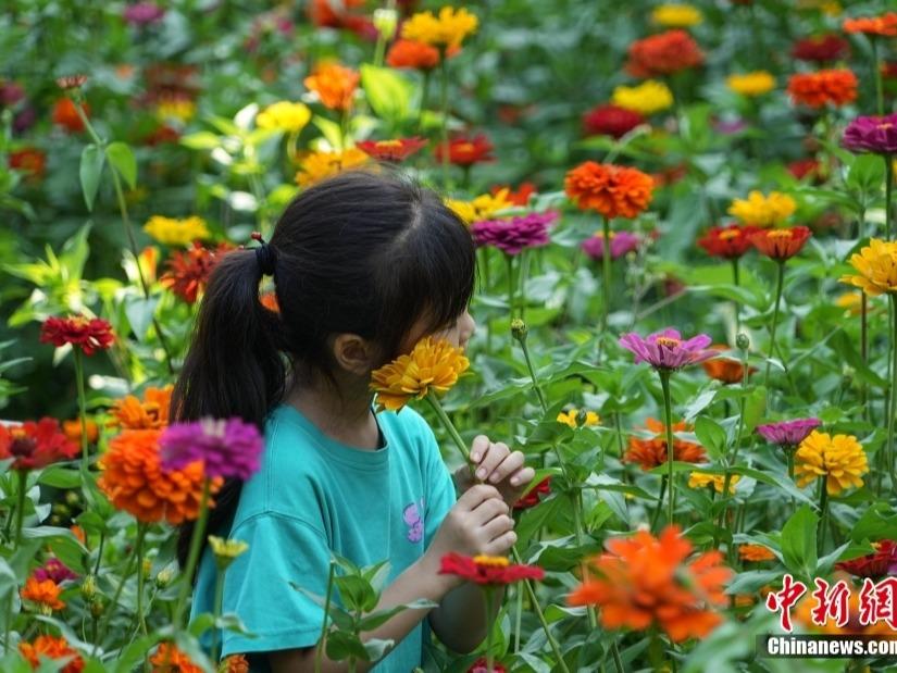 Teroka Taman Yuanmingyuan Kala Musim Luruh