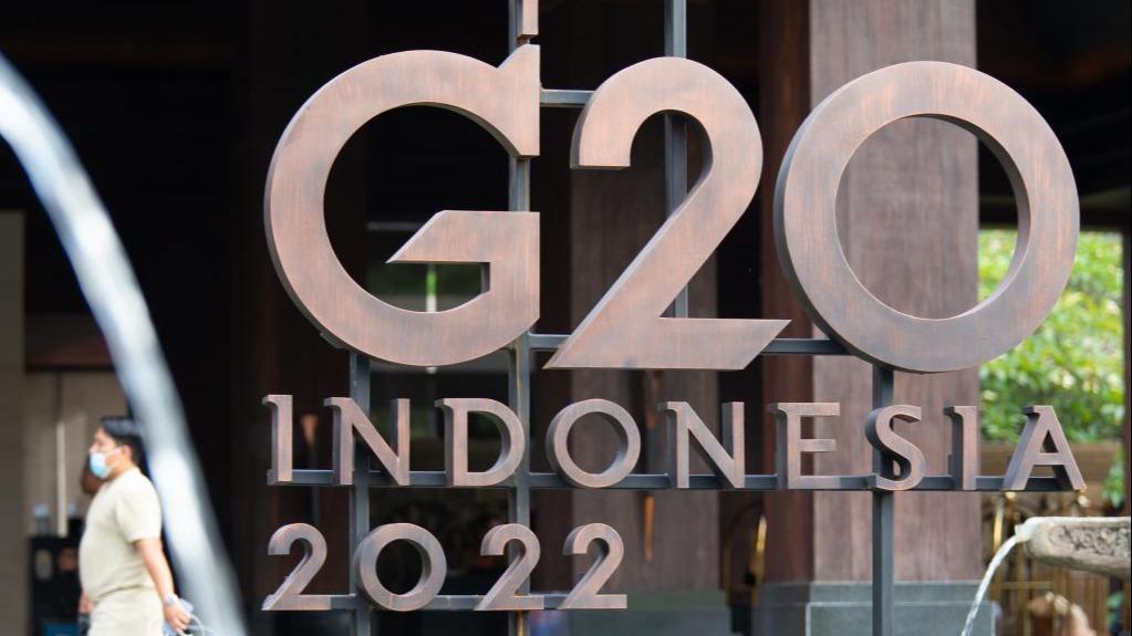 Za a kaddamar da taron kolin G20 a kasar Indonesia